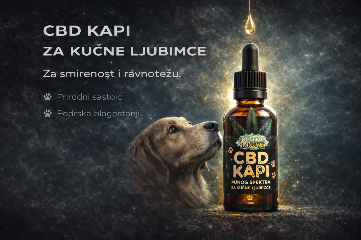 CBD kapi za ljubimce – prirodna ravnoteža